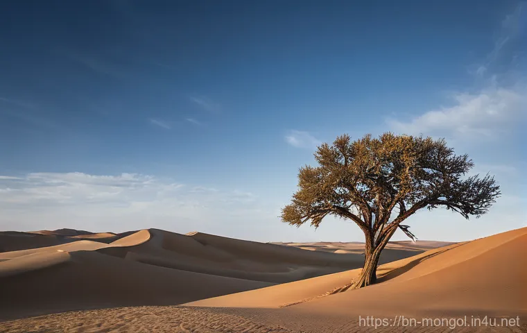 몽골의 자생 식물 - **A Glimpse of Nomadic Life on the Mongolian Steppe:**
    "A wide, panoramic shot of the vast, undu...